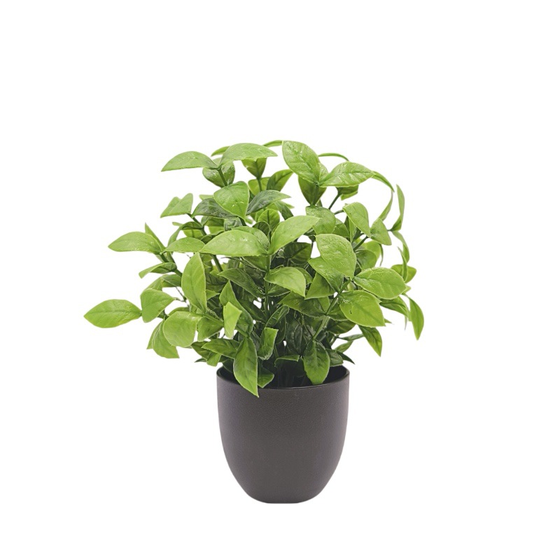 Bonsai Artificiale Verde per D - Interior Design Home Decor recensione e prezzo